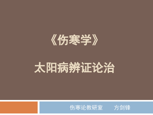 伤寒表实证