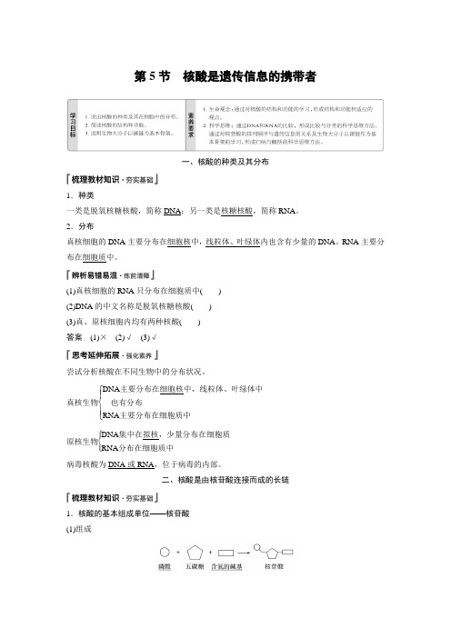 人教版   必修1 核酸是遗传信息的携带者 教案