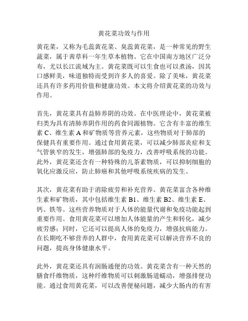 黄花菜功效与作用