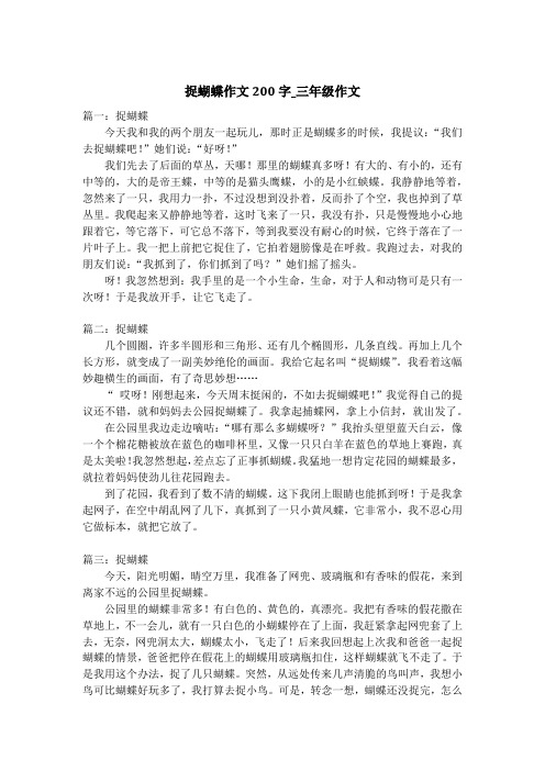 捉蝴蝶作文200字_三年级作文