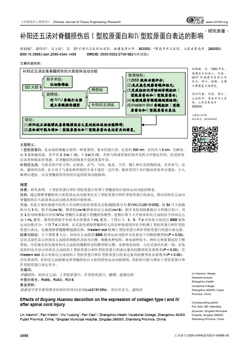 补阳还五汤对脊髓损伤后Ⅰ型胶原蛋白和Ⅳ型胶原蛋白表达的影响