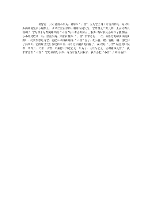 可爱的“小雪”