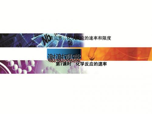 高中化学人教版必修2全套资料 人教课标版12