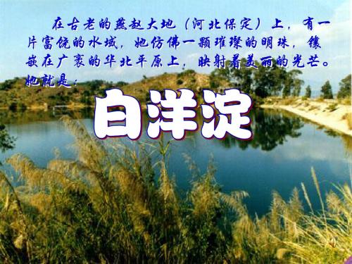 《芦花荡》ppt课件