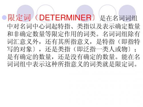 限定词