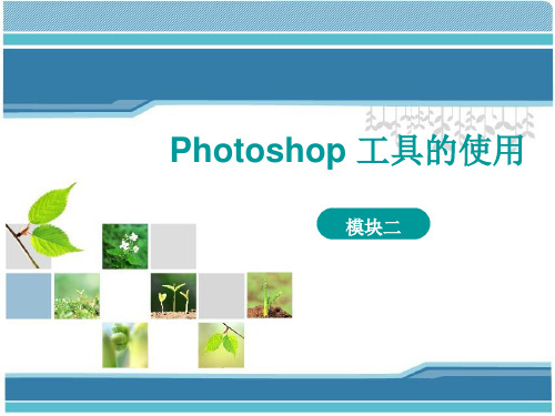 《photoshop》课件——模块2  工具的使用