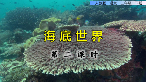 三年级语文下册《海底世界》第二课时教学展示课件
