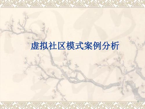 虚拟社区模式案例分析ppt课件