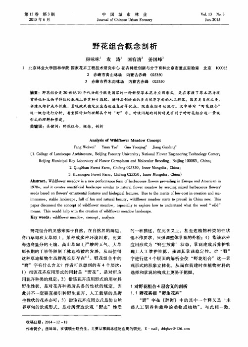野花组合概念剖析