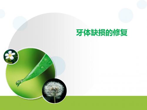 牙体缺损课件