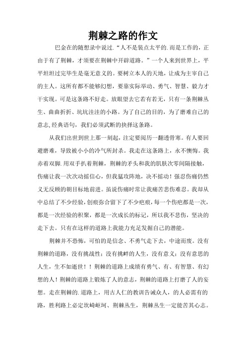 荆棘之路的作文