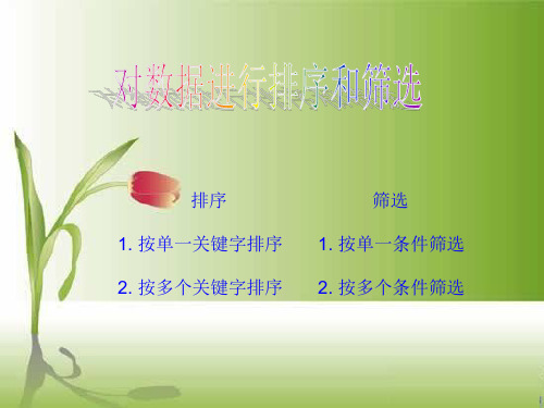 对数据进行排序和筛选课件.ppt