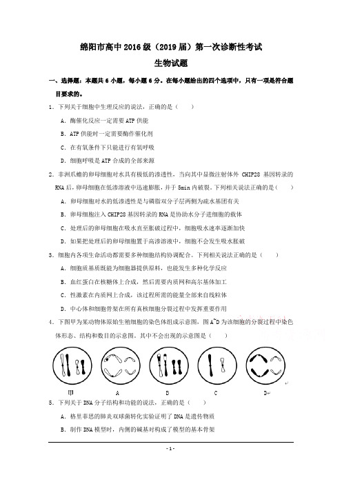 绵阳市高中2016级(2019届)第一次诊断性考试生物试题及答案(word版)
