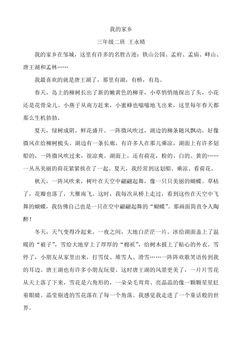 我的家乡-王永晴