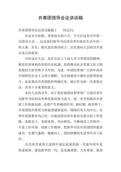 共青团领导会议讲话稿