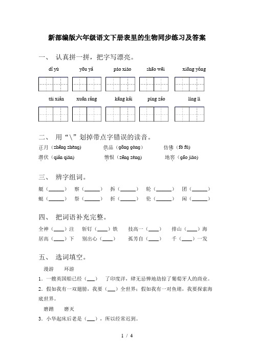 新部编版六年级语文下册表里的生物同步练习及答案