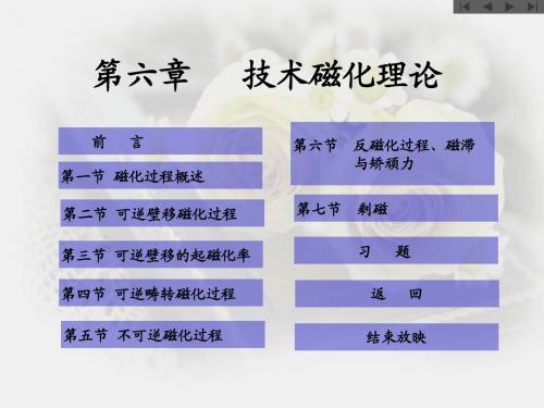 技术磁化理论