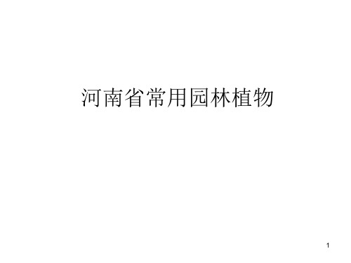 河南常用园林植物