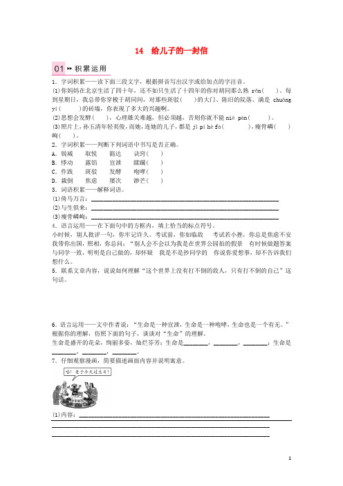 九年级语文上册 第四单元 14《给儿子的一封信》练习 语文版