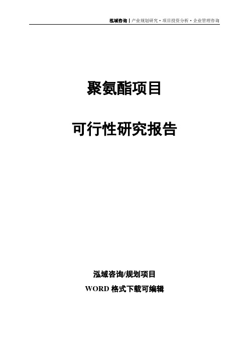 聚氨酯项目可行性研究报告