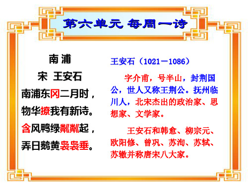 《南浦、山园小梅》PPT课件