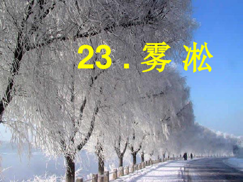 雾凇PPT