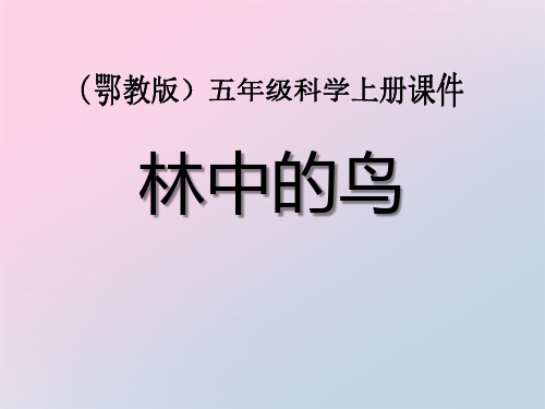 2021年《林中的鸟》走进树林PPT课件文档
