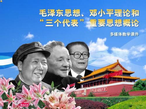 毛概课件第九单元