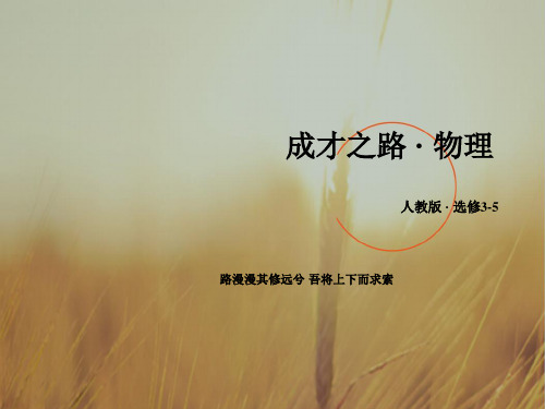 2018高二物理 选修3-5课件 第十八章 原子结构 章末小结18