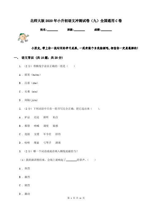 北师大版2020年小升初语文冲刺试卷(九)全国通用C卷