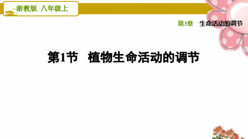 浙教版八年级科学上册3.1 植物生命活动的调节ppt课件