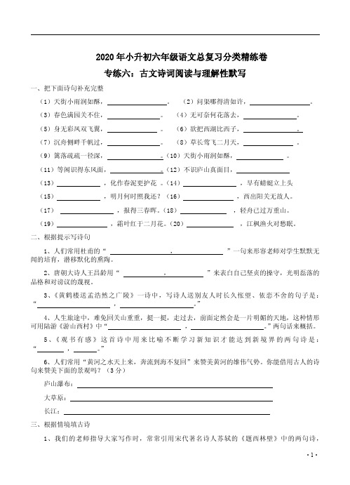 2020年小升初六年级语文总复习分类专项六【古文诗词阅读与理解性默写】精练卷