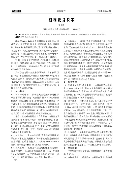 油桐栽培技术
