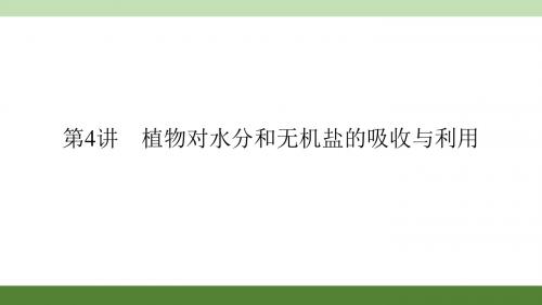 中考科学复习课件：第4讲 植物对水分和无机盐的吸收与利用