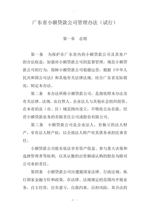 广东省小额贷款公司管理办法(试行)