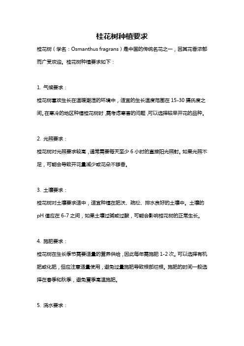 桂花树种植要求