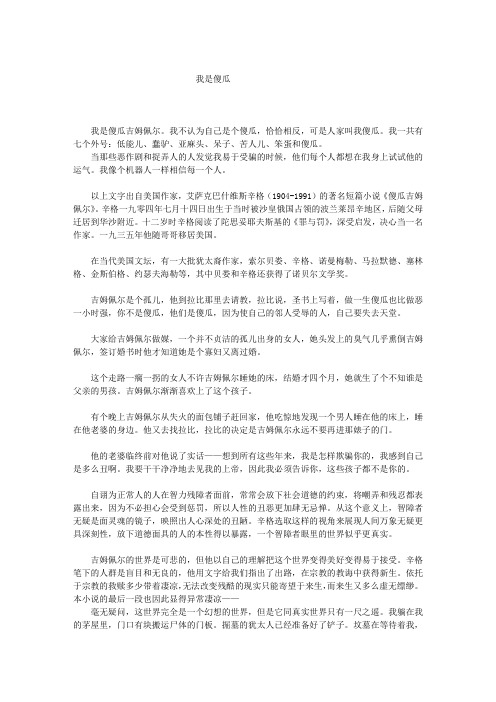 我是傻瓜