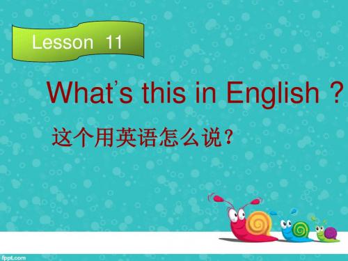 What's  this  in  English这个用英语怎么说