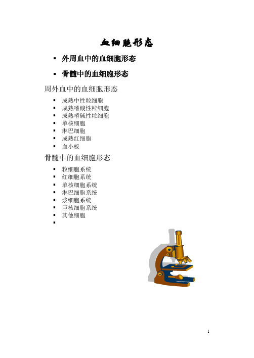 血细胞形态