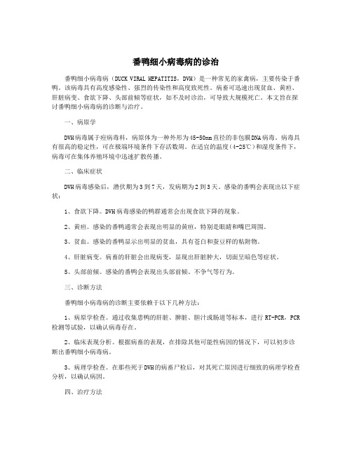 番鸭细小病毒病的诊治