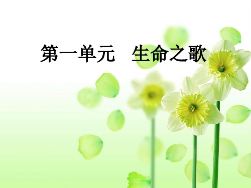 猎人的送葬行列(节选)(《第一交响乐》第三乐章)精品课件 (1)