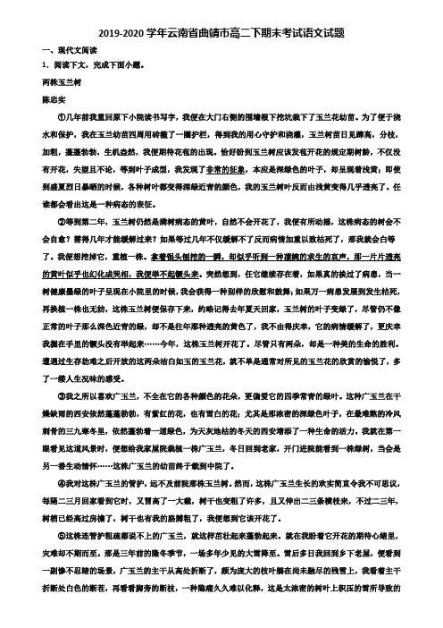 2019-2020学年云南省曲靖市高二下期末考试语文试题含解析