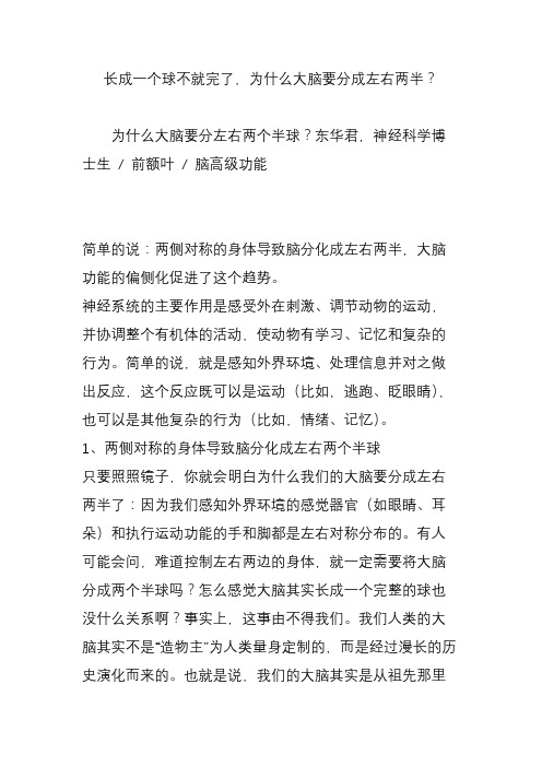 长成一个球不就完了,为什么大脑要分成左右两半？