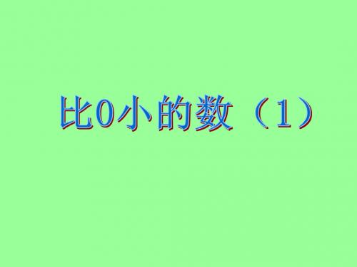 2.1比零小的数(1)