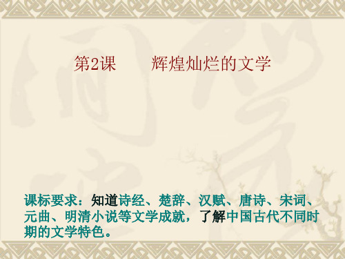 《辉煌灿烂的文学》PPT课件人教版1