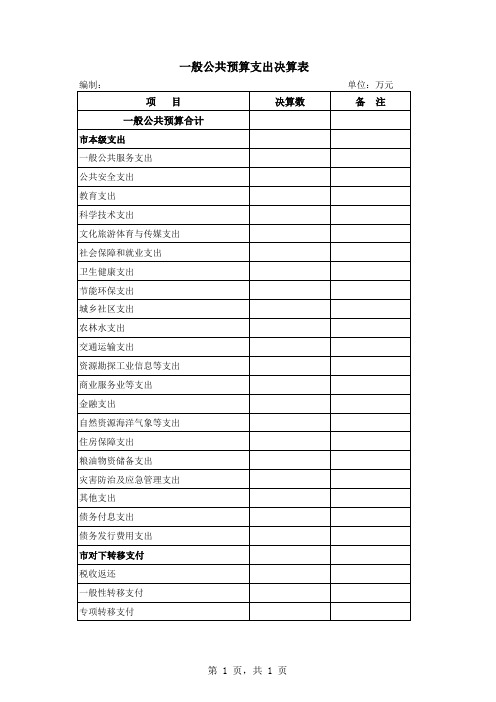 一般公共预算支出决算表模板