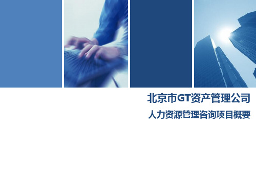 北京GT资产管理公司人力资源咨询项目概要