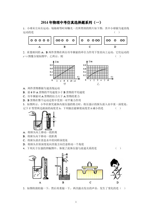 2014年物理中考仿真选择题系列(一)及其答案共10页