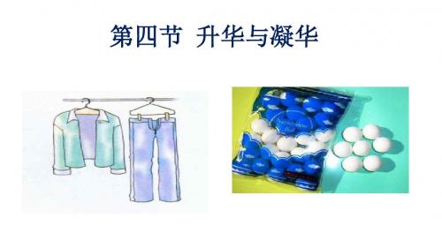 【沪科版】九年级物理：12.4《升华与凝华》ppt教学课件
