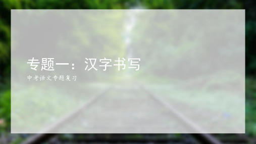 中考语文专题复习一：汉字书写PPT精品文档29页